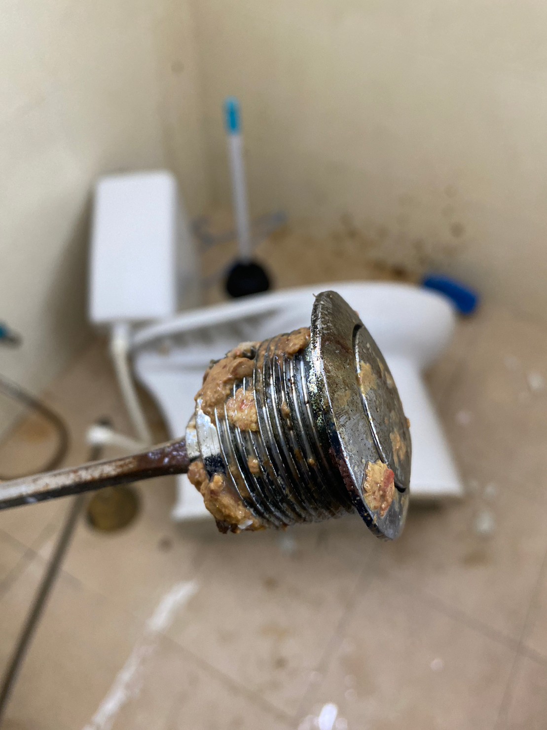 LINE_ALBUM_13666_๒๓๐๖๑๓_9